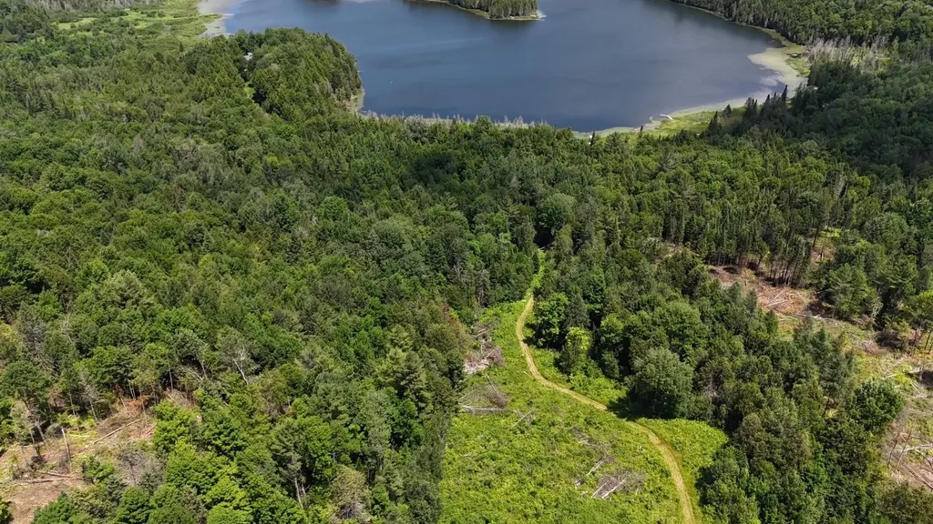 Tbd Stevens Road Barton VT 05822