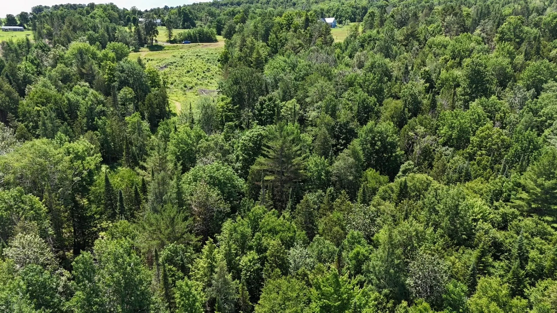 Tbd Stevens Road Barton VT 05822