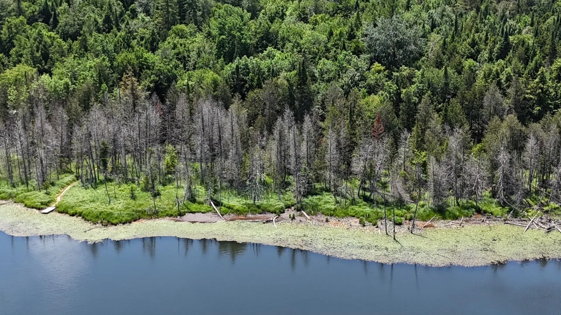 Tbd Stevens Road Barton VT 05822