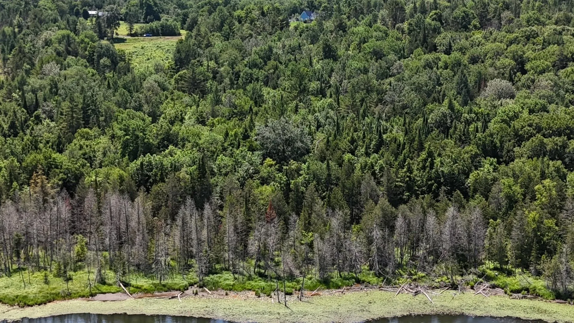 Tbd Stevens Road Barton VT 05822