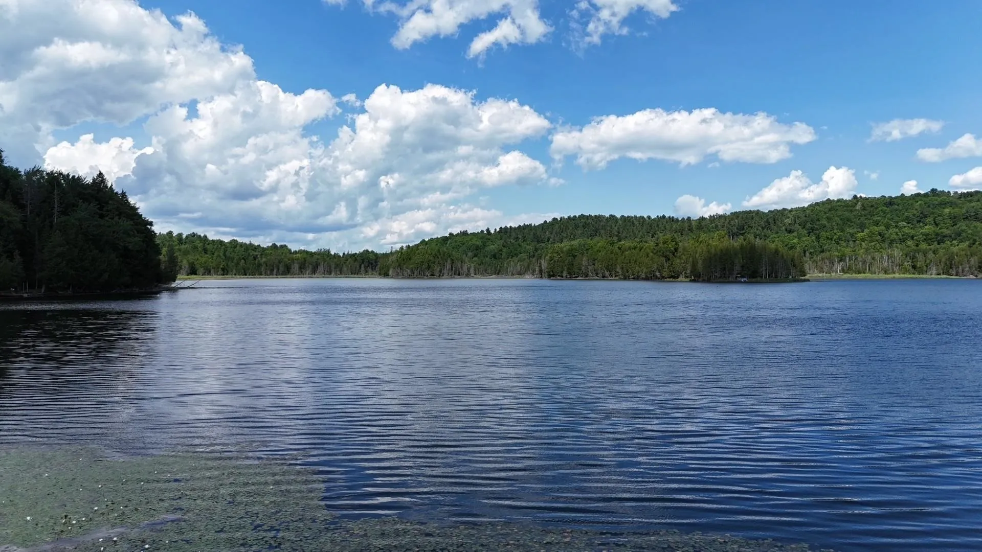 Tbd Stevens Road Barton VT 05822