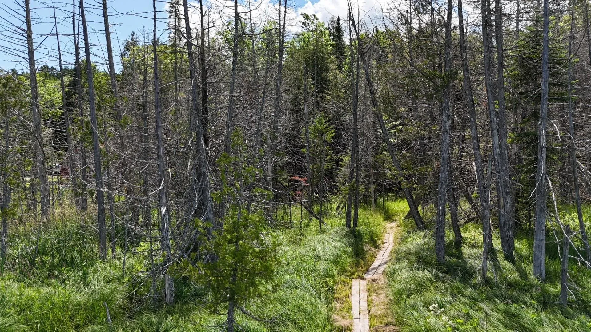 Tbd Stevens Road Barton VT 05822