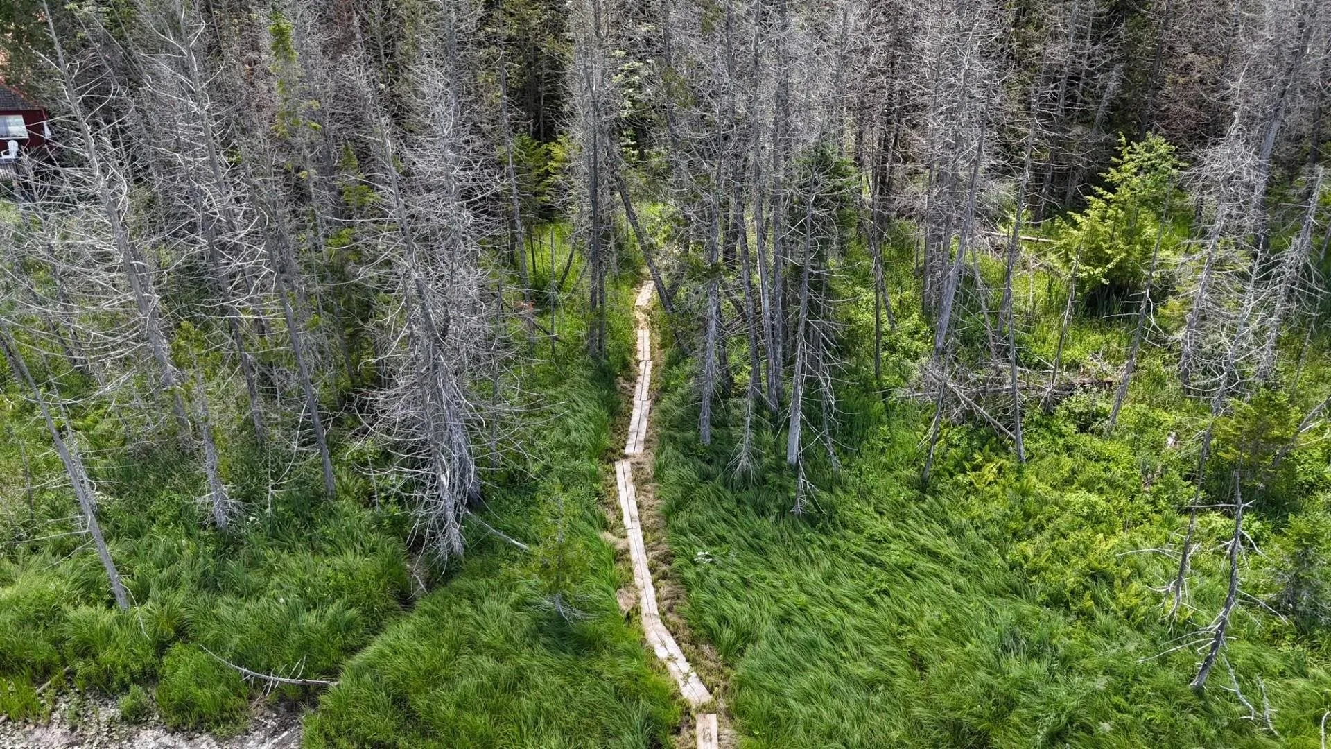 Tbd Stevens Road Barton VT 05822