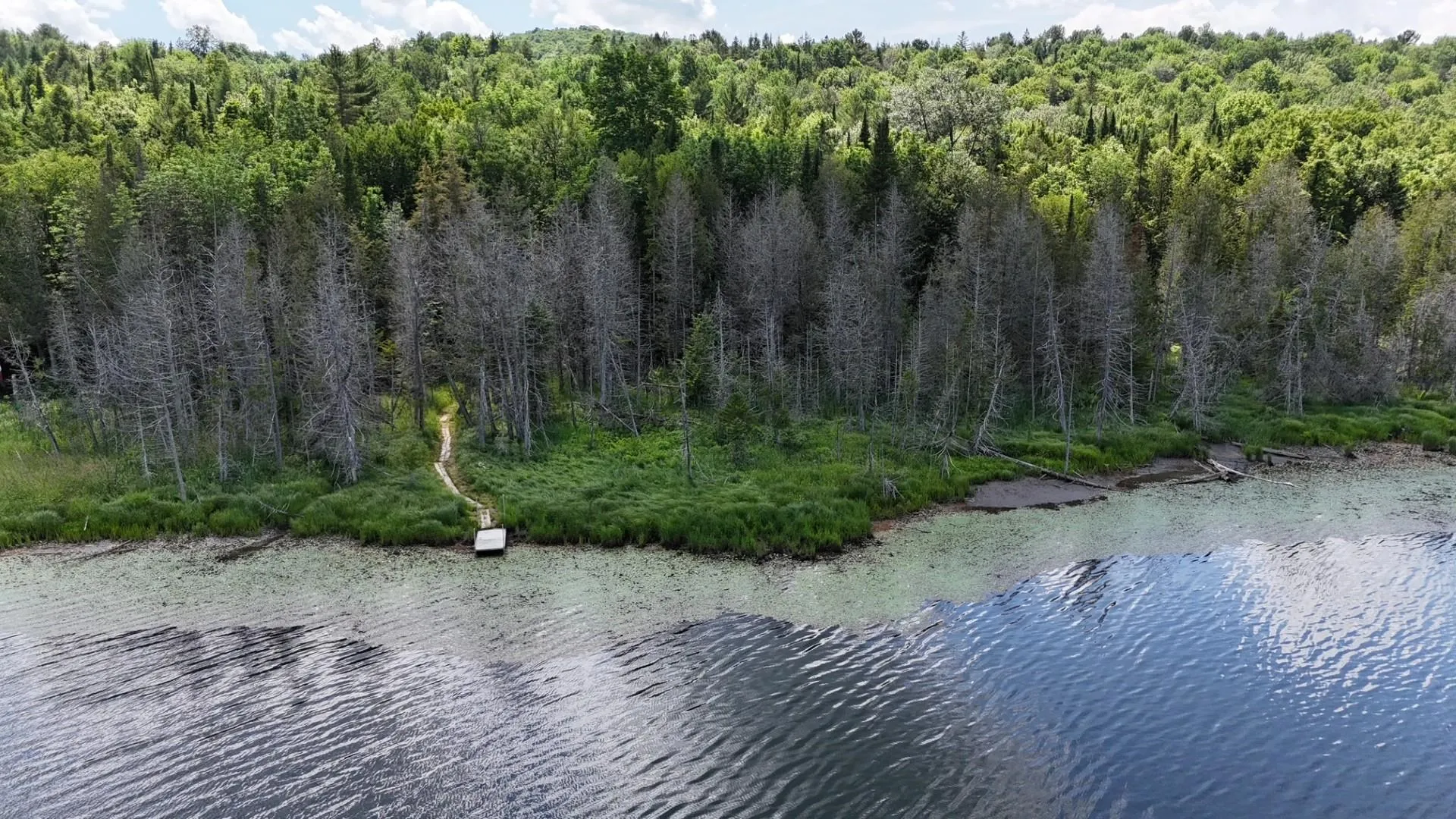 Tbd Stevens Road Barton VT 05822