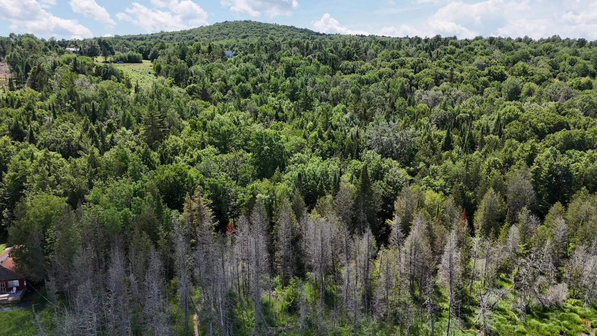 Tbd Stevens Road Barton VT 05822