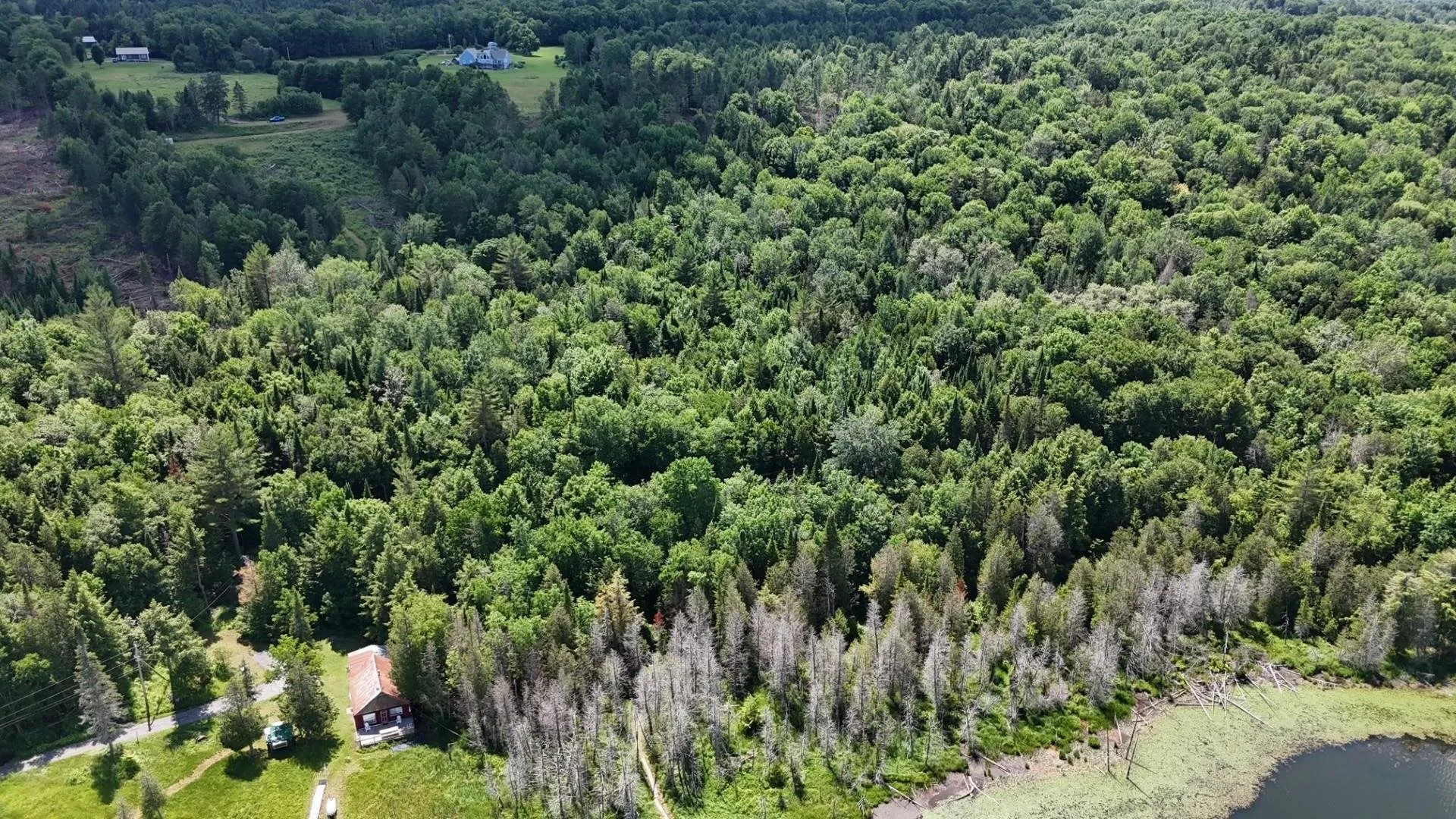 Tbd Stevens Road Barton VT 05822