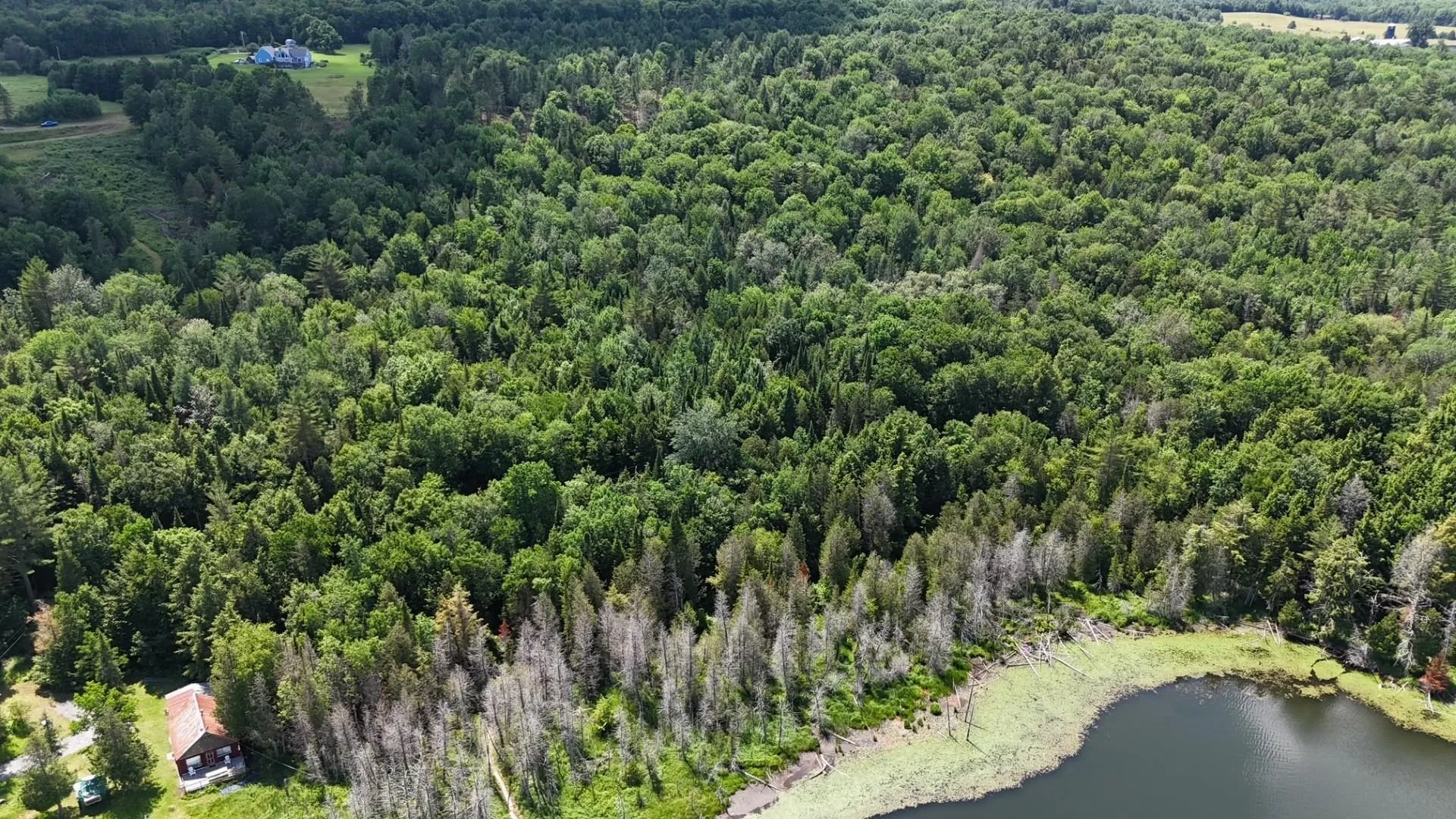 Tbd Stevens Road Barton VT 05822