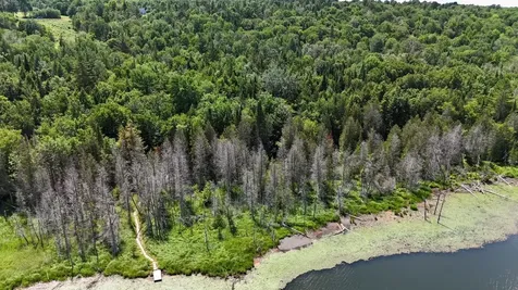 Tbd Stevens Road Barton VT 05822