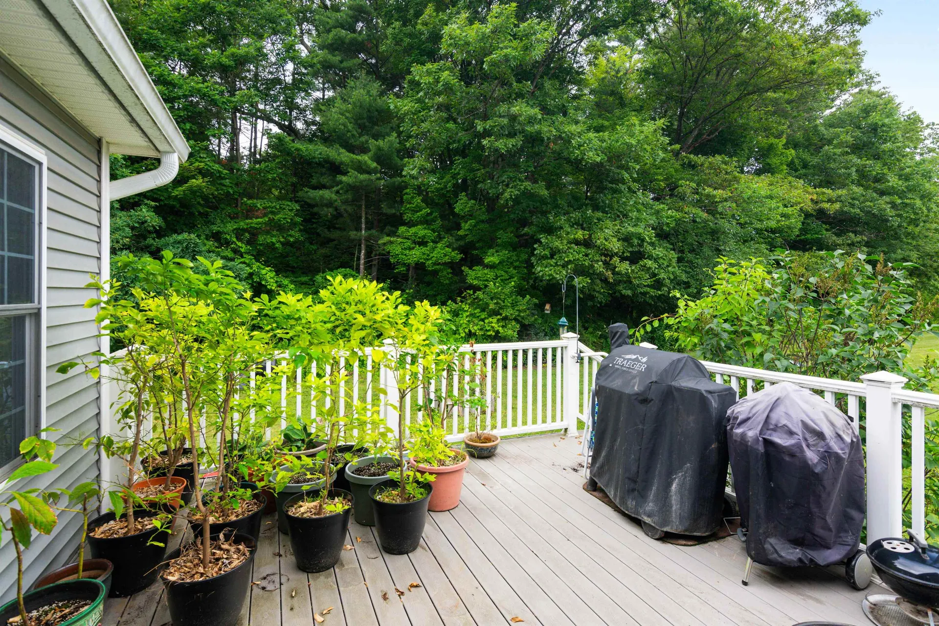 61 Hannahs Place Colchester VT 05446