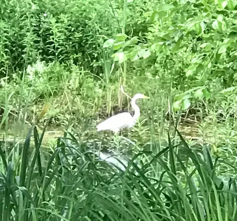 26 Hermit Thrush Lane South Burlington VT 05403