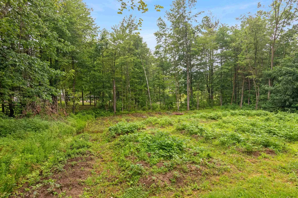 54 Birchwood Drive Colchester VT 05446