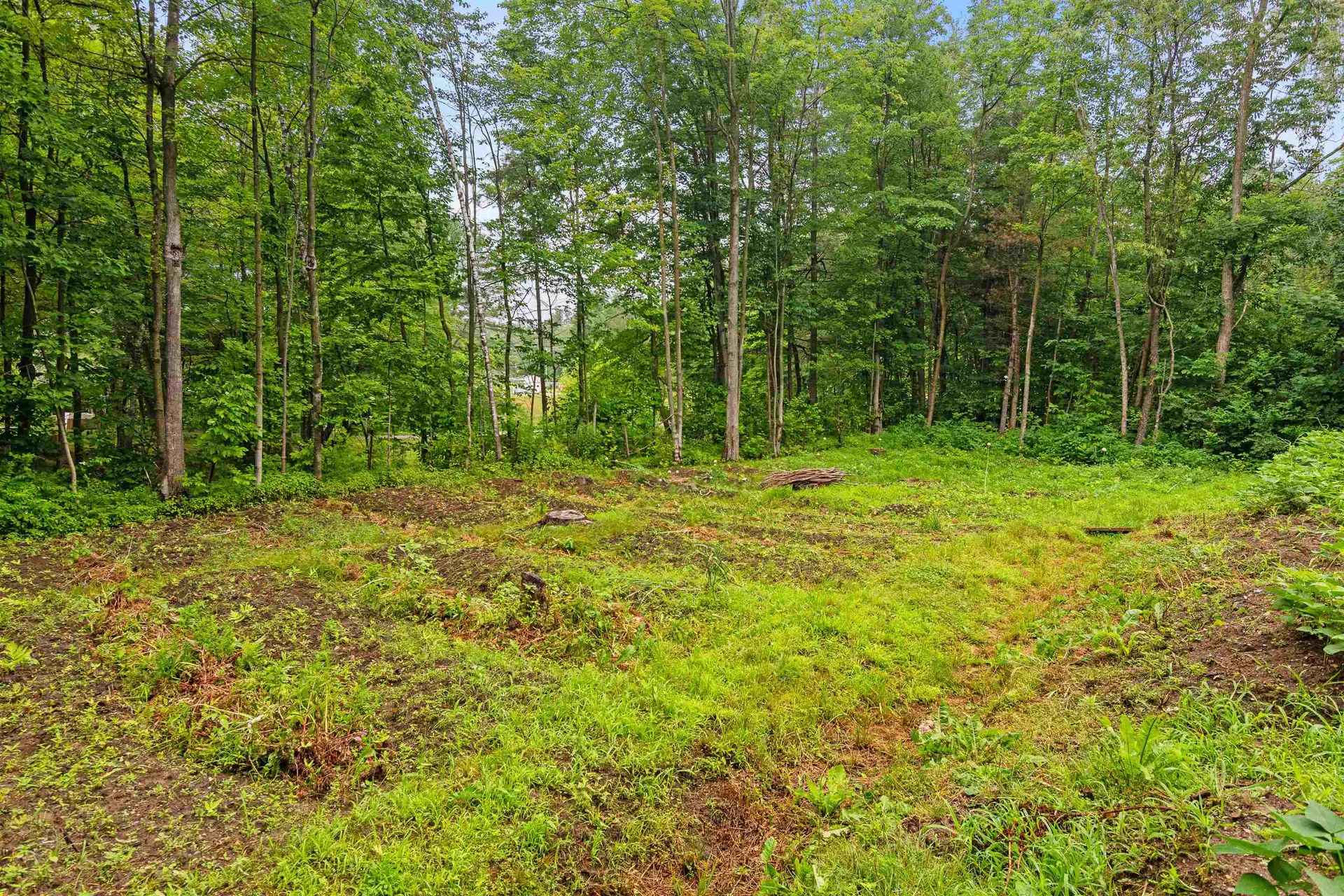 54 Birchwood Drive Colchester VT 05446