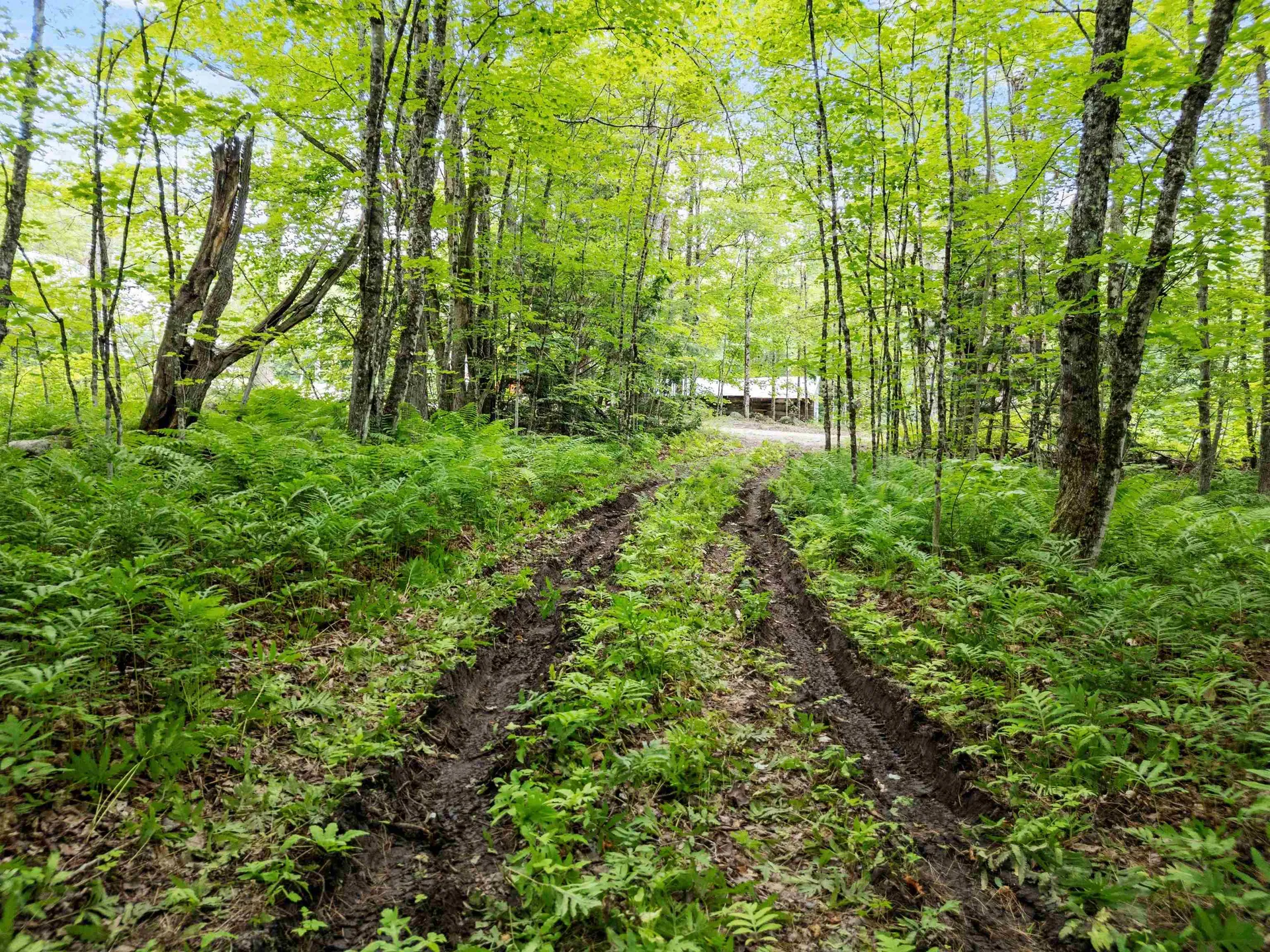 0 Wild Meadow Road Grafton NH 03240