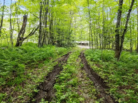 0 Wild Meadow Road Grafton NH 03240