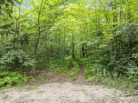 0 Wild Meadow Road Grafton NH 03240