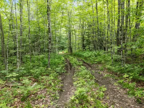 0 Wild Meadow Road Grafton NH 03240