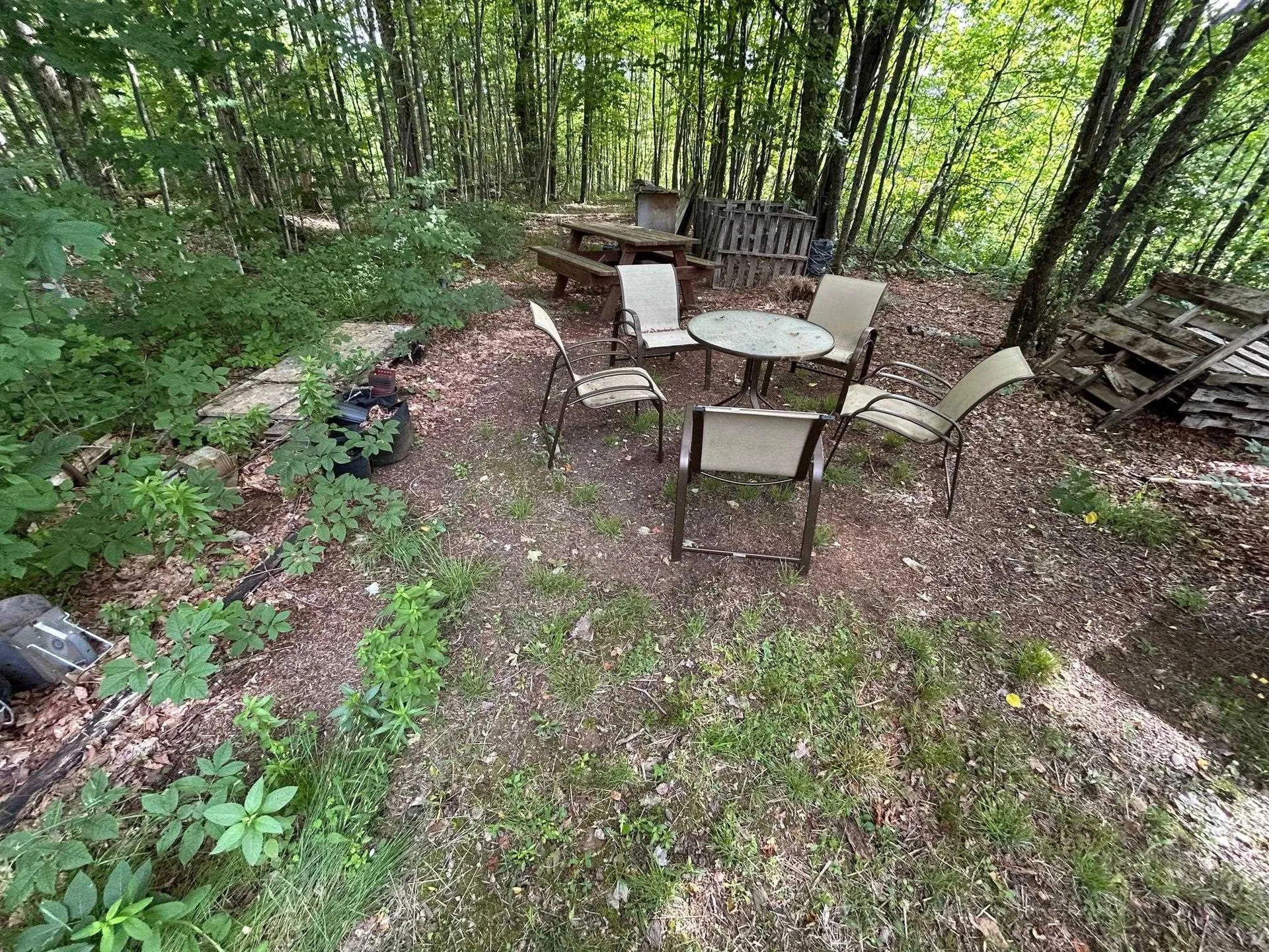 4 Dodge Road Elmore VT 05657