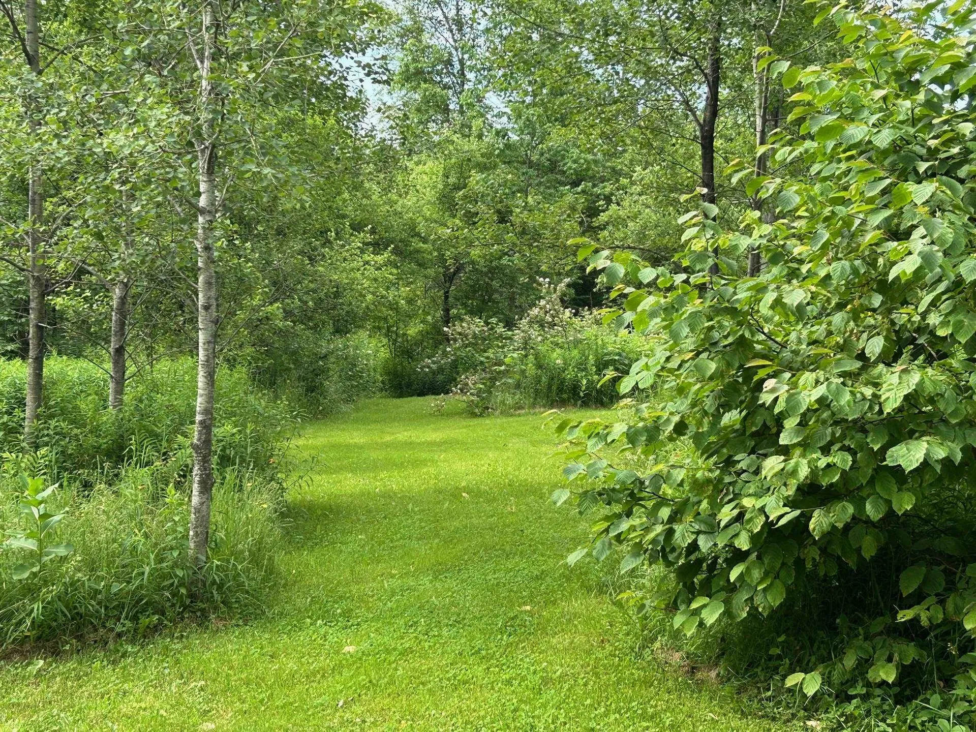 4 Dodge Road Elmore VT 05657