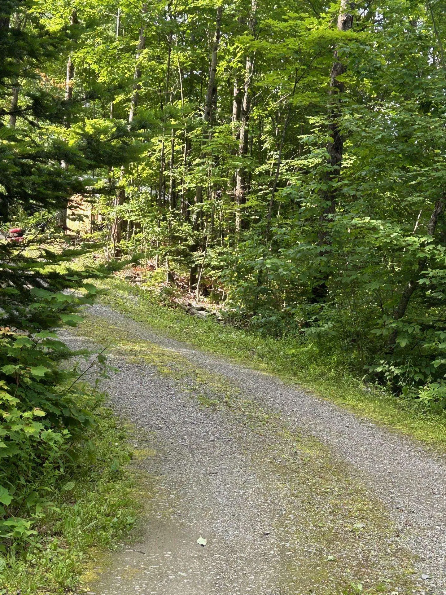 4 Dodge Road Elmore VT 05657