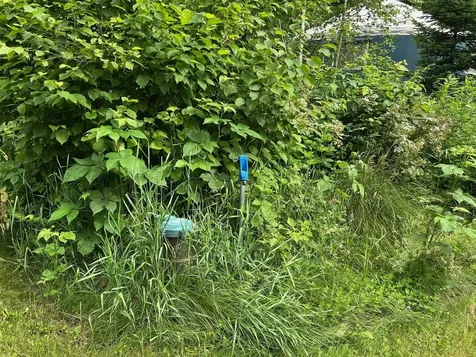 4 Dodge Road Elmore VT 05657