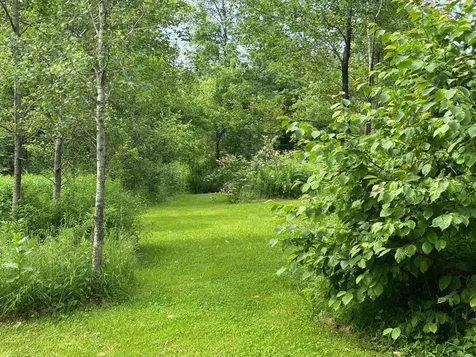 4 Dodge Road Elmore VT 05657