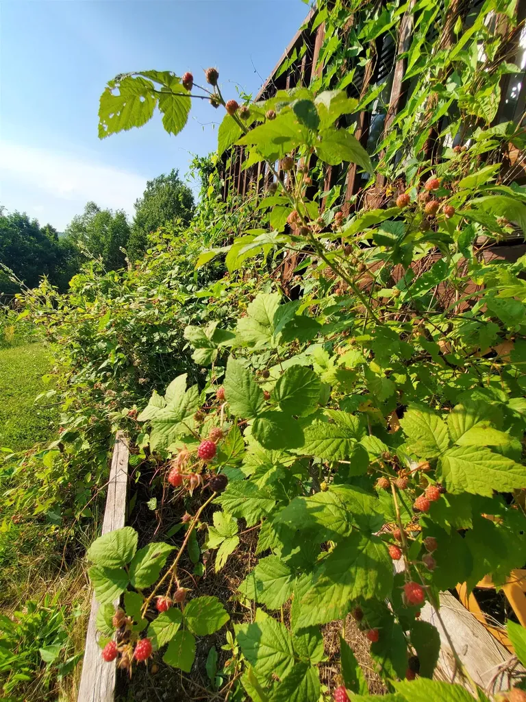 391 Waterford Hollow Lane Waterford VT 05819