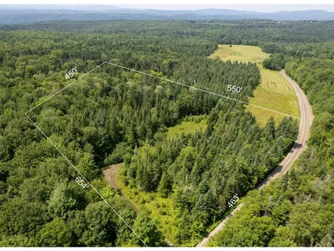 714 Carter Road Burke VT 05871