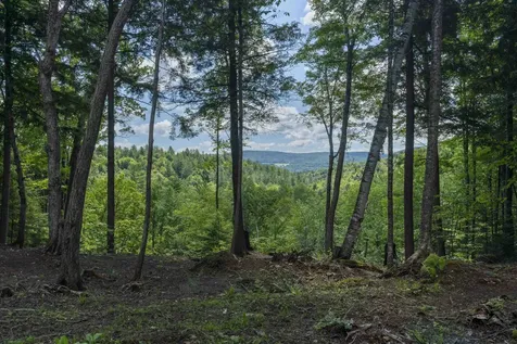 Tbd Arbor Lane Duxbury VT 05660