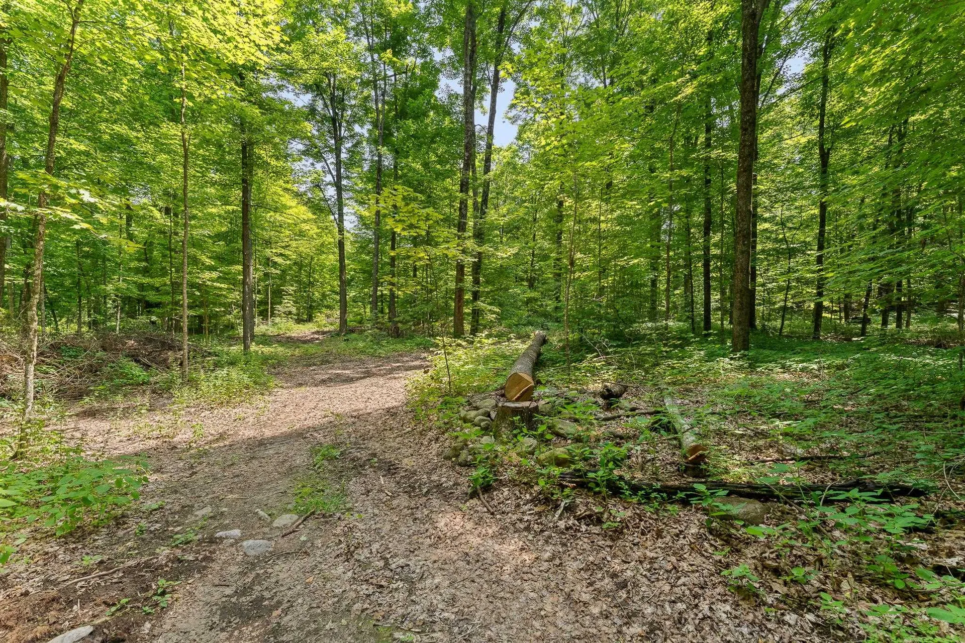 3645 S 116 Road Bristol VT 05443