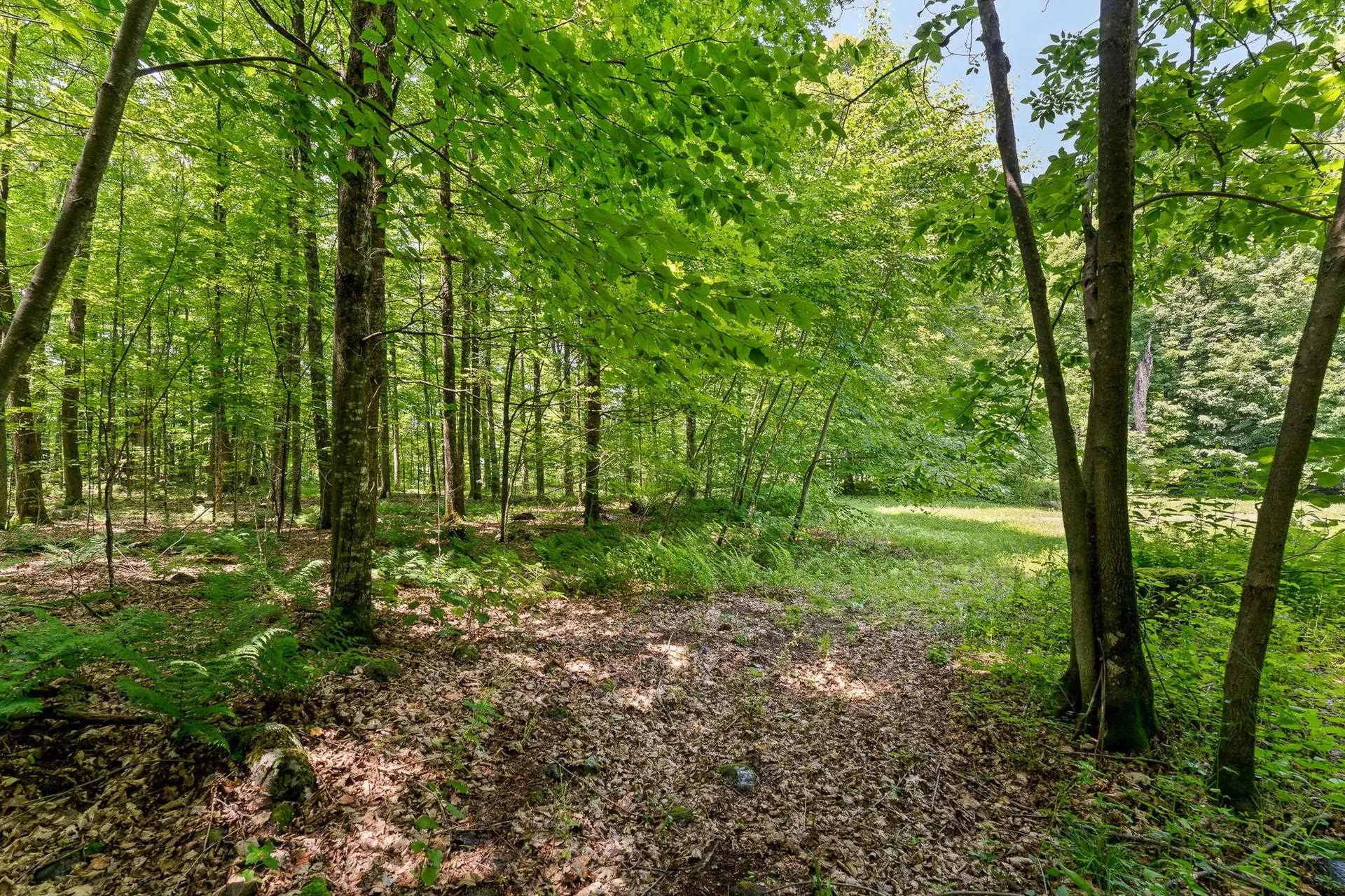 3645 S 116 Road Bristol VT 05443