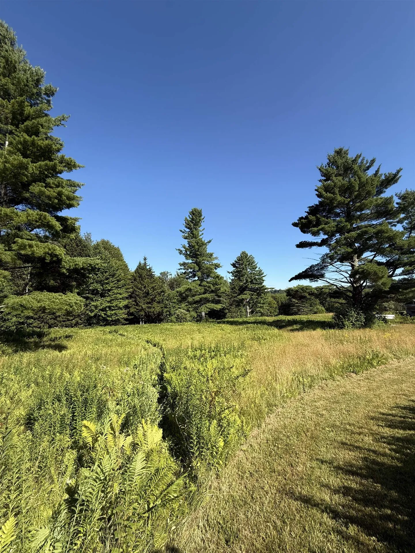 130 Bryant Road Bethel VT 05032