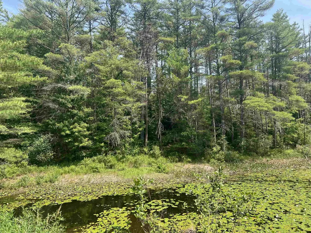 179 Chickville Road Ossipee NH 03864