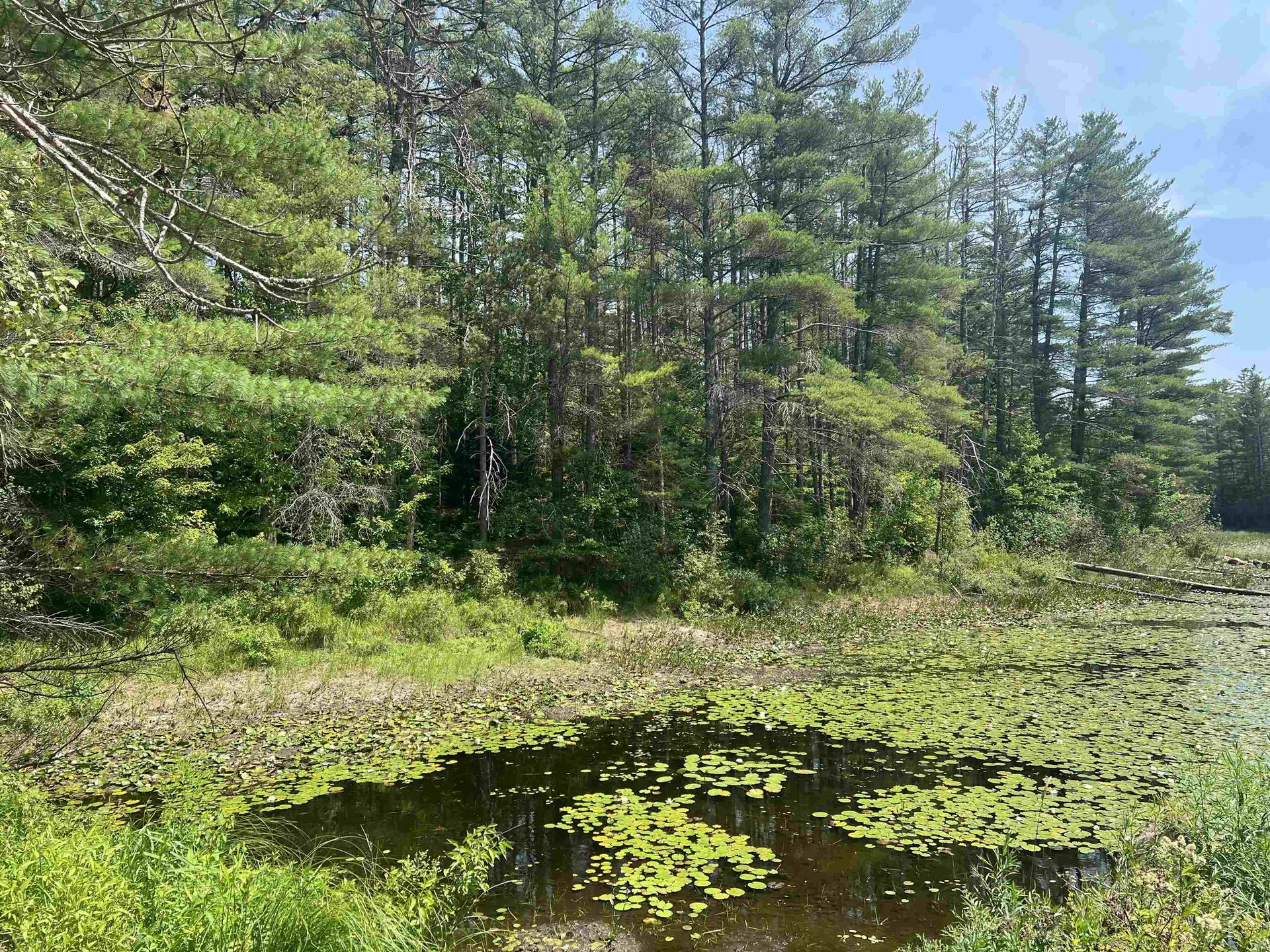 179 Chickville Road Ossipee NH 03864