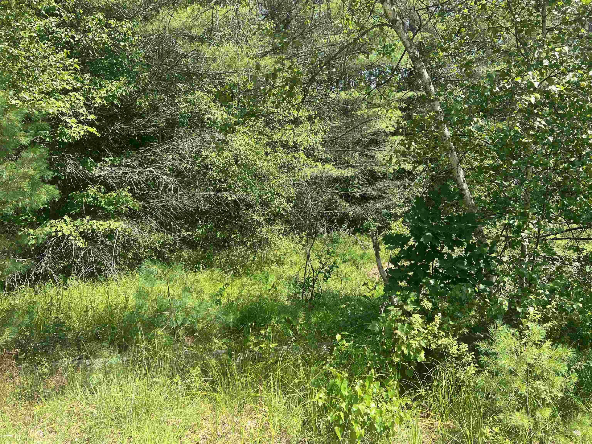 179 Chickville Road Ossipee NH 03864