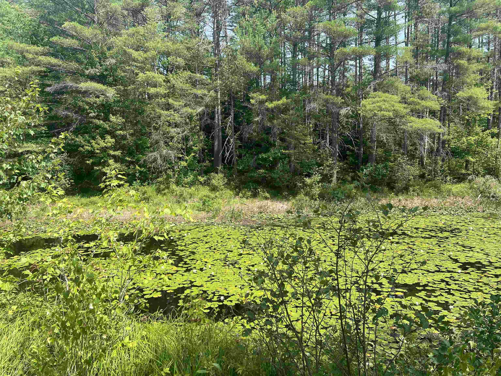 179 Chickville Road Ossipee NH 03864