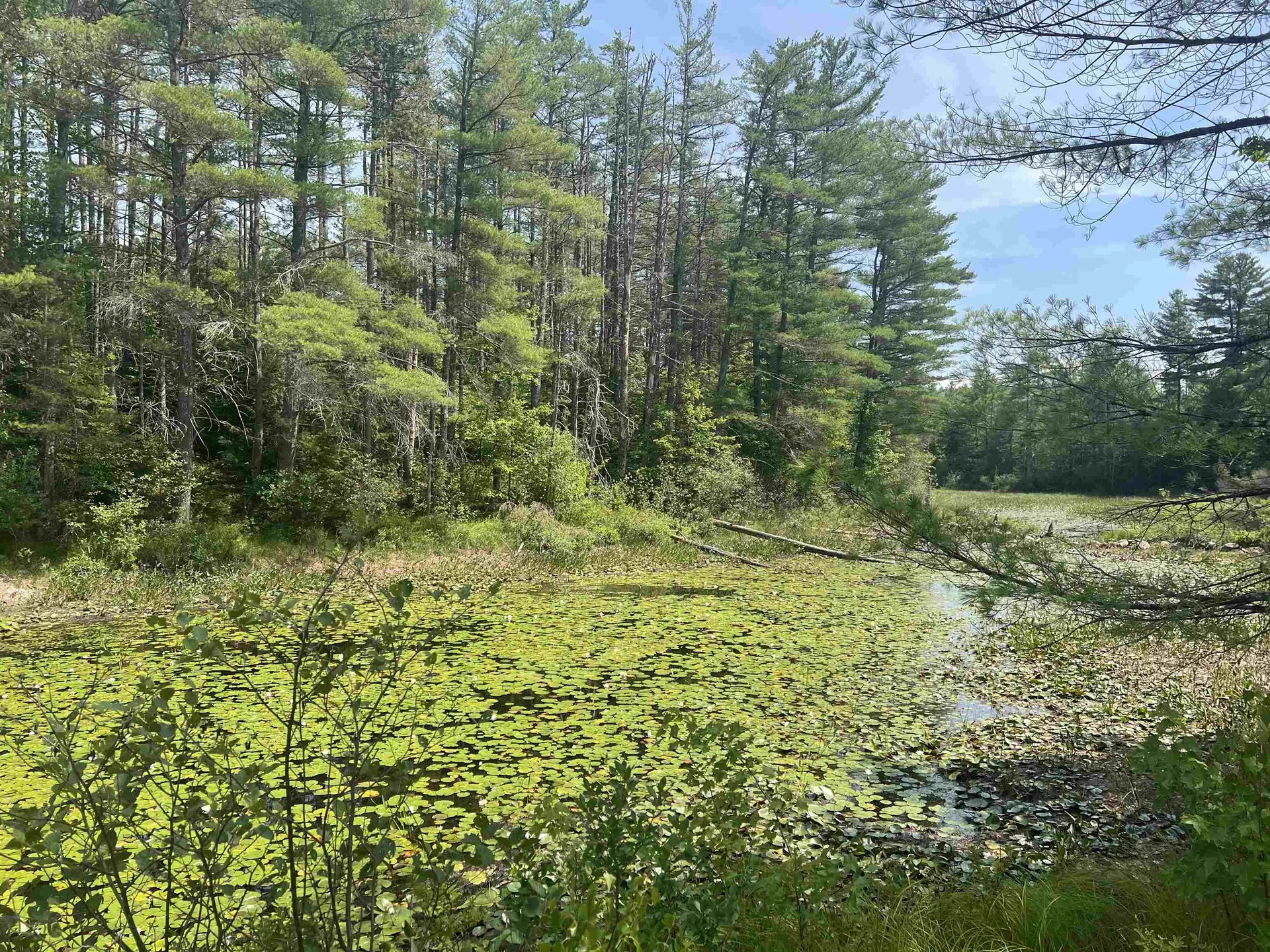 179 Chickville Road Ossipee NH 03864