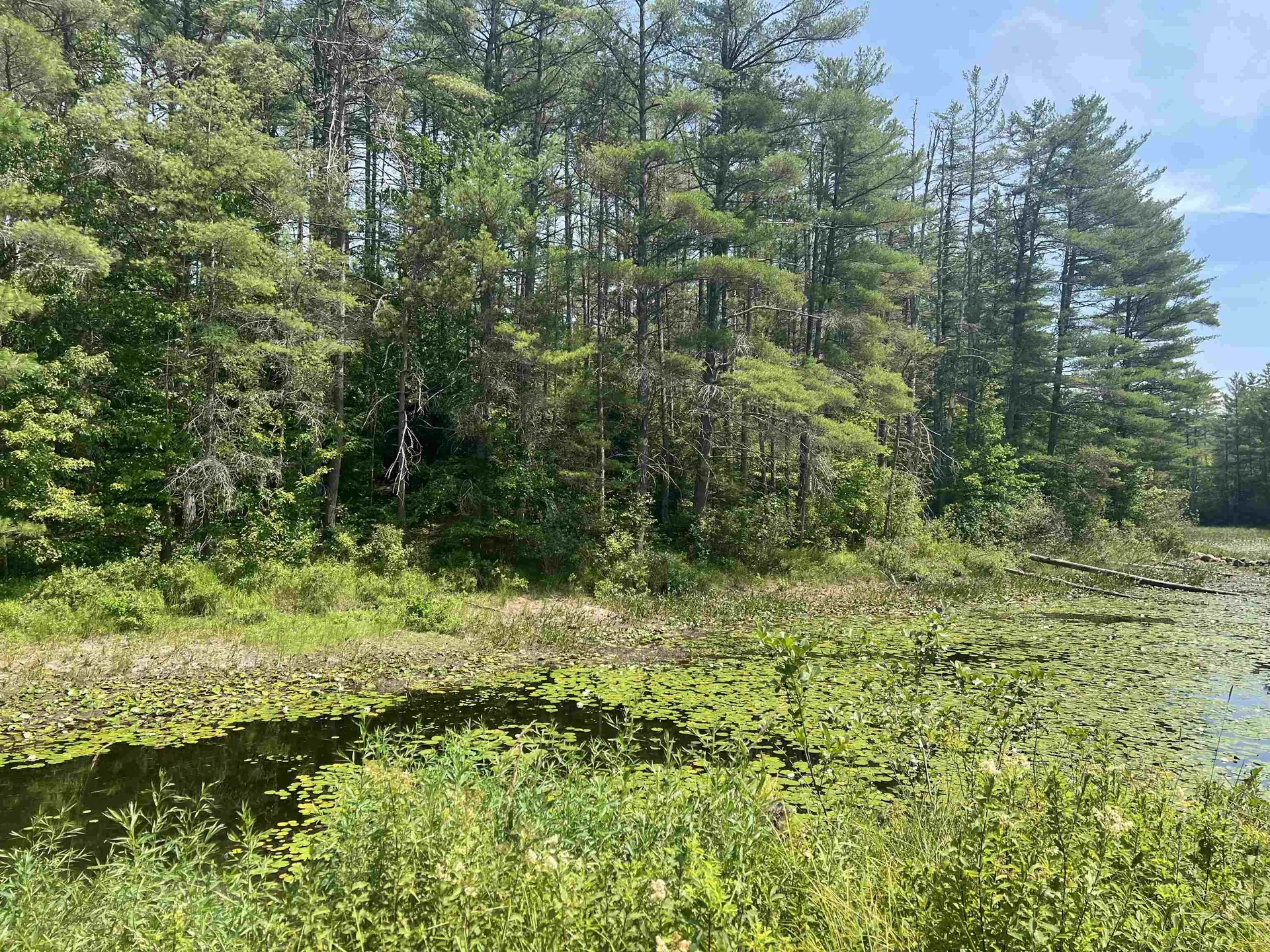 179 Chickville Road Ossipee NH 03864