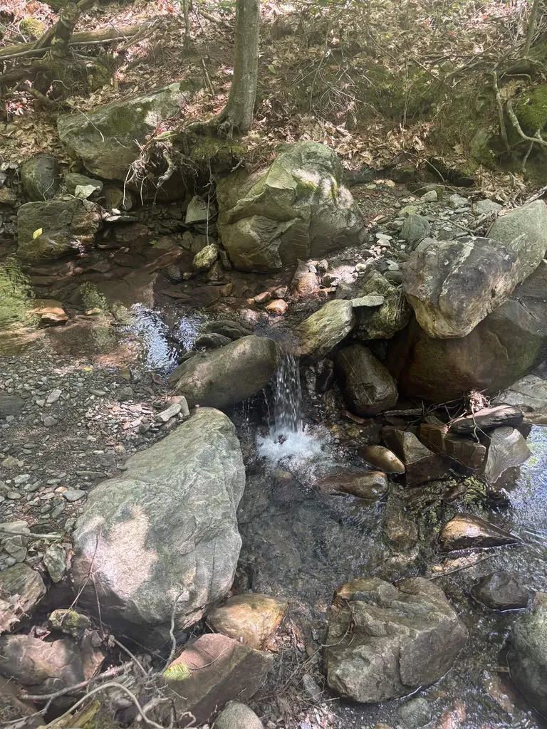 Upper Plains Road Salisbury VT 05769