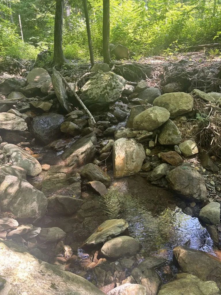 Upper Plains Road Salisbury VT 05769