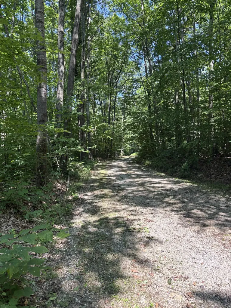 Upper Plains Road Salisbury VT 05769