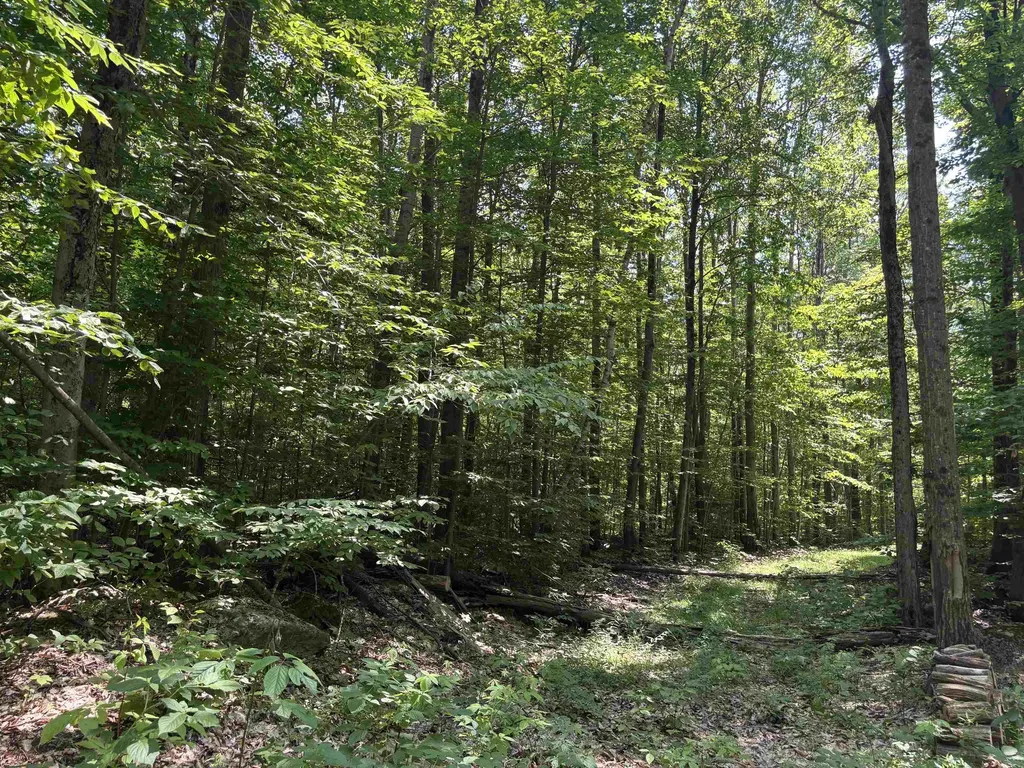 Upper Plains Road Salisbury VT 05769