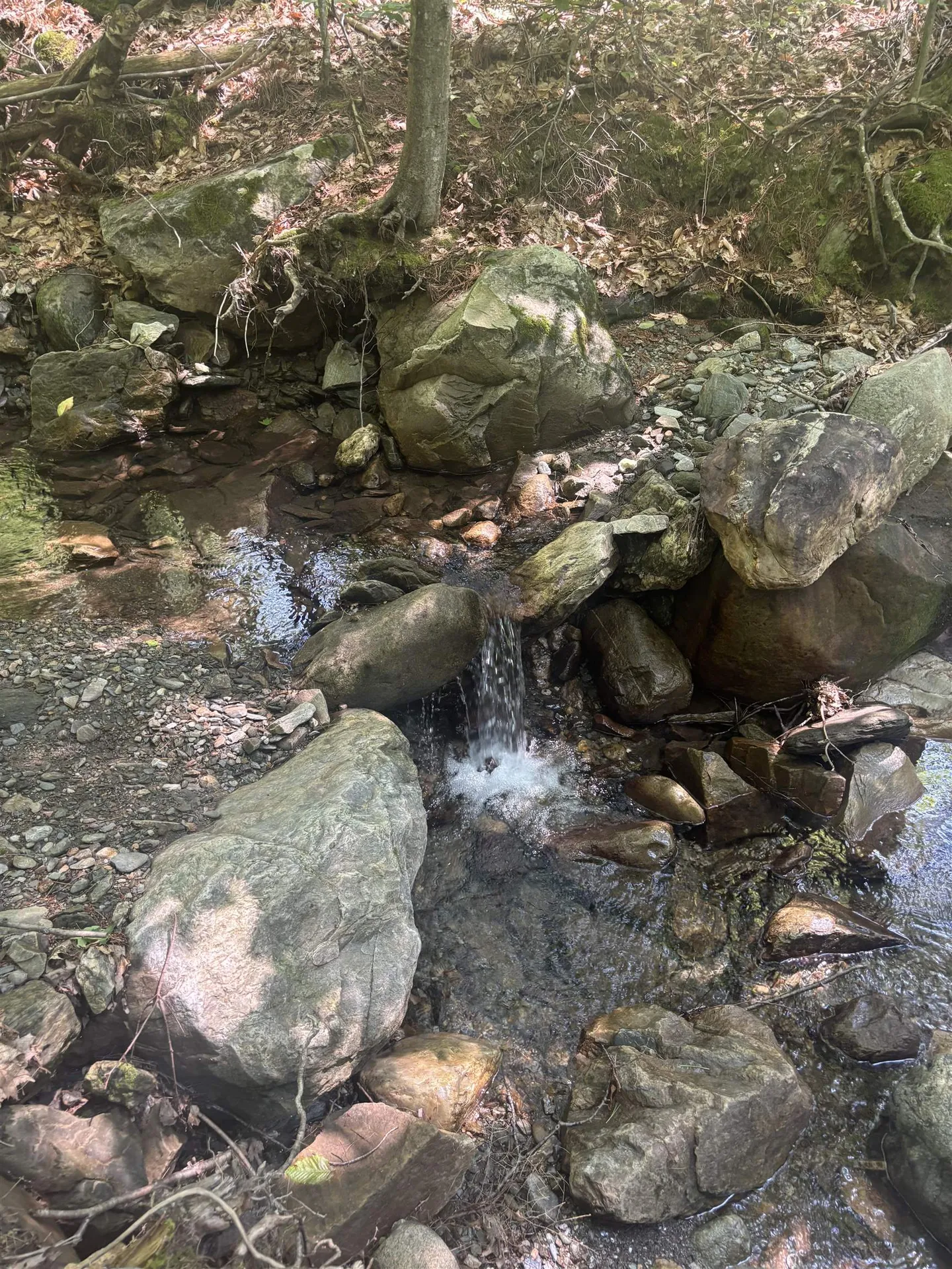 Upper Plains Road Salisbury VT 05769