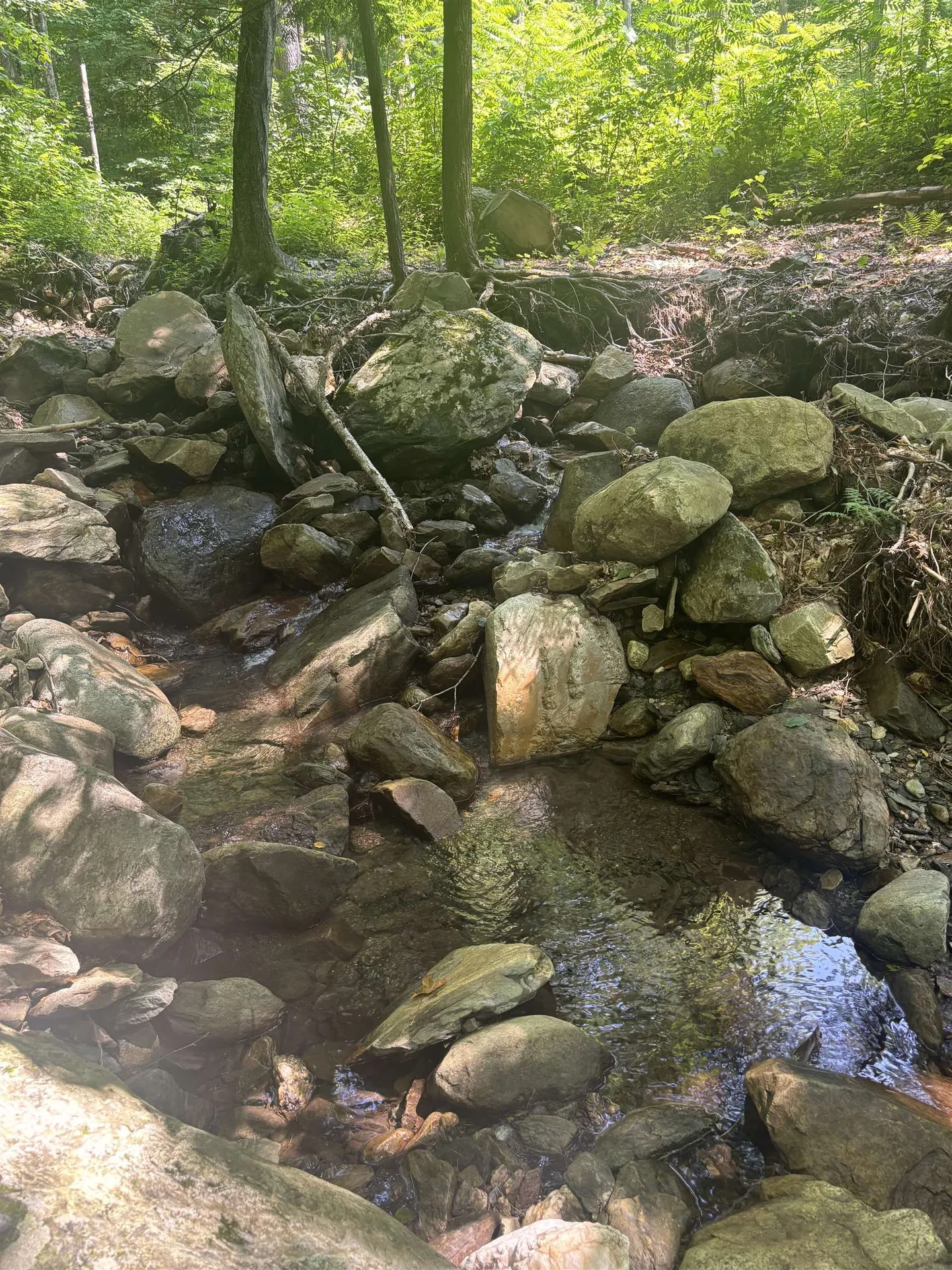 Upper Plains Road Salisbury VT 05769