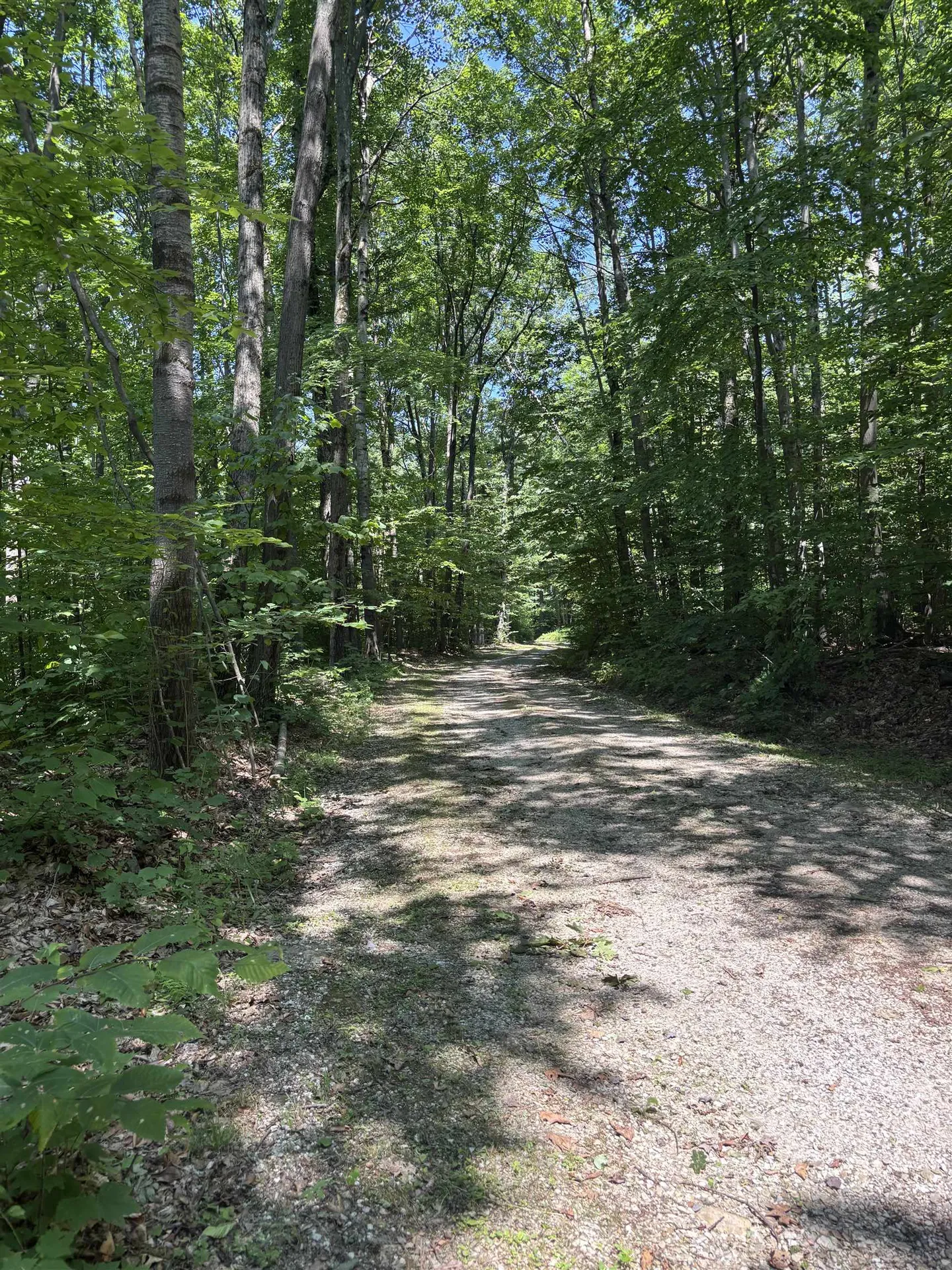 Upper Plains Road Salisbury VT 05769