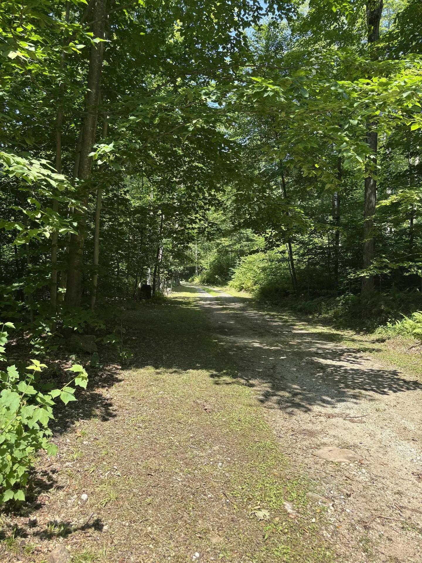 Upper Plains Road Salisbury VT 05769