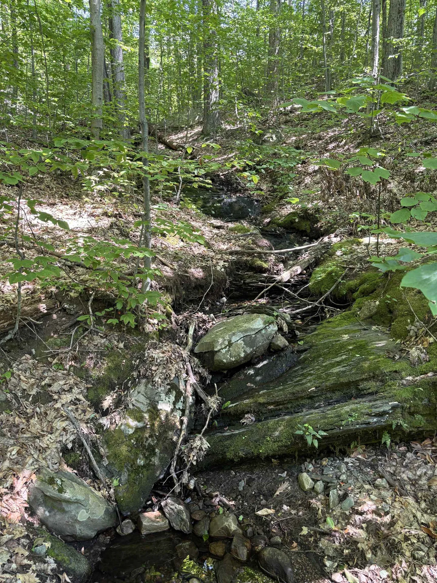 Upper Plains Road Salisbury VT 05769