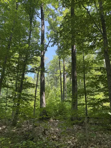 Upper Plains Road Salisbury VT 05769