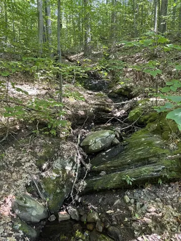 Upper Plains Road Salisbury VT 05769