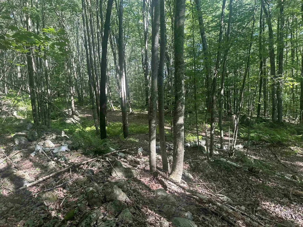 0 Helvi Hill Mendon VT 05701