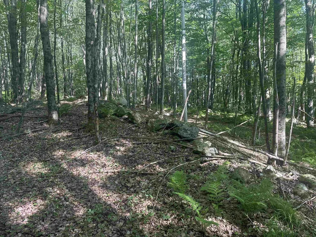 0 Helvi Hill Mendon VT 05701